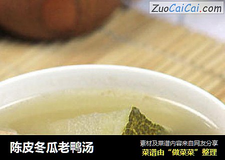 陈皮冬瓜老鸭汤