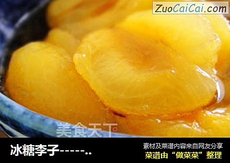 冰糖李子-------润喉开音