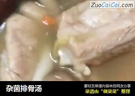 杂菌排骨汤