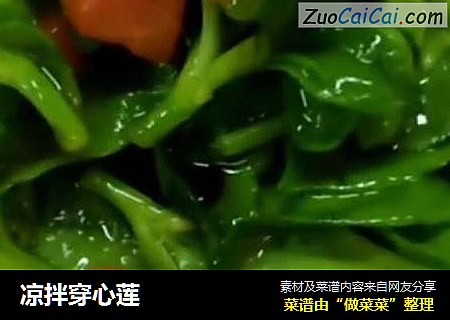 凉拌穿心莲