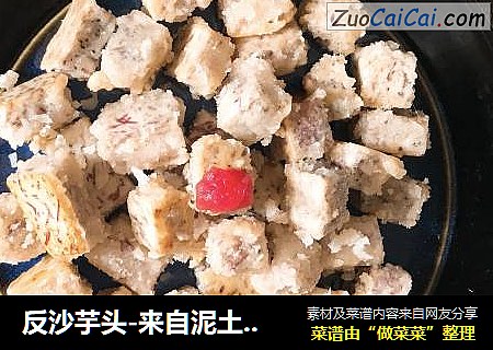 反沙芋头-来自泥土的小幸福
