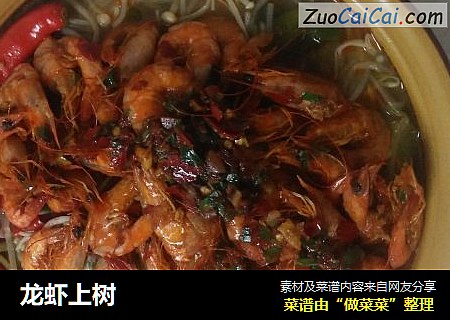 龙虾上树