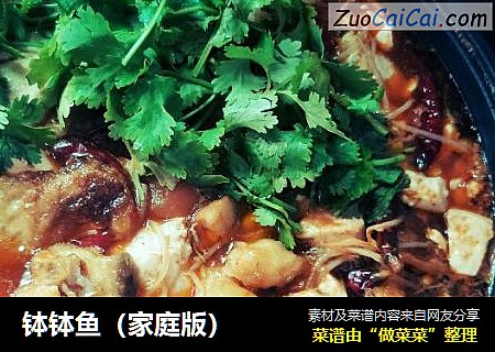 钵钵鱼（家庭版）