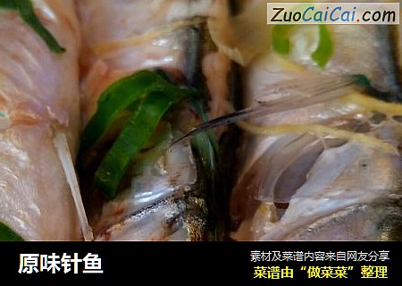 原味针鱼