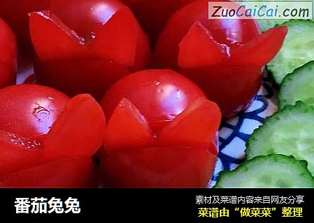 番茄兔兔