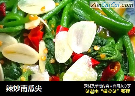 辣炒南瓜尖