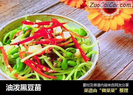 油泼黑豆苗