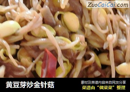 黄豆芽炒金针菇
