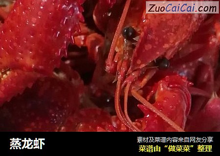 蒸龙虾