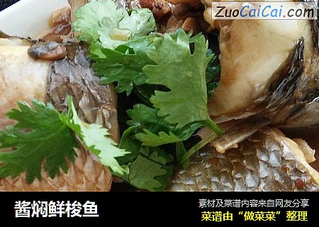 酱焖鲜梭鱼