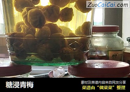 糖浸青梅
