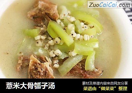 薏米大骨瓠子汤