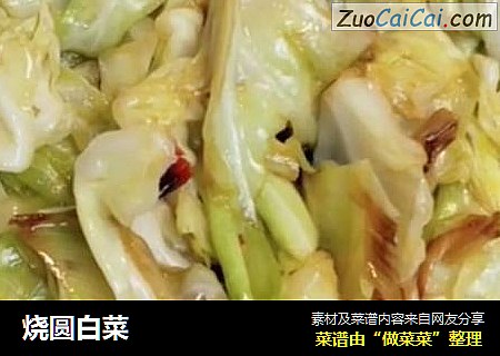 烧圆白菜