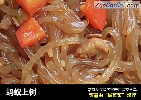 蚂蚁上树