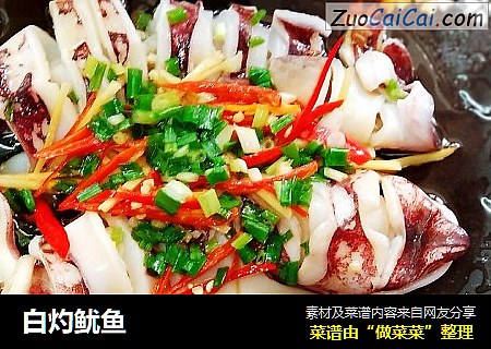 白灼鱿鱼
