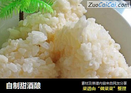 自制甜酒酿