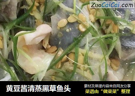 黄豆酱清蒸黑草鱼头
