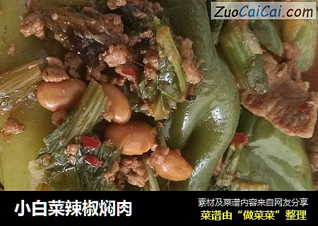 小白菜辣椒焖肉