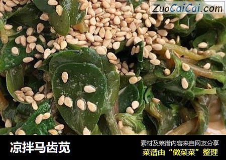凉拌马齿苋
