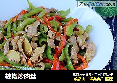 辣椒炒肉丝