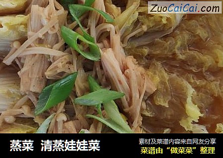 蒸菜  清蒸娃娃菜