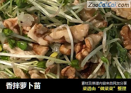 香拌萝卜苗