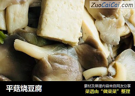 平菇烧豆腐