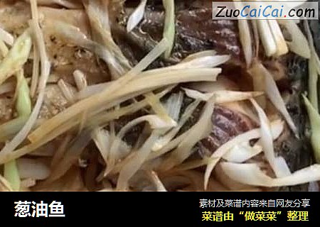 葱油鱼