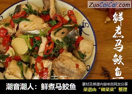 潮音潮人：鲜煮马鲛鱼