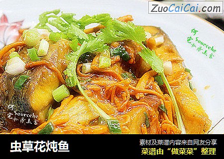 虫草花炖鱼