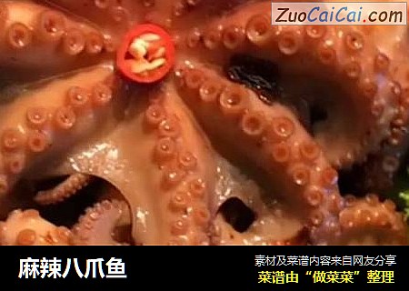 麻辣八爪鱼
