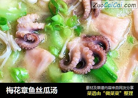 梅花章鱼丝瓜汤