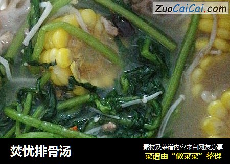 焚忧排骨汤
