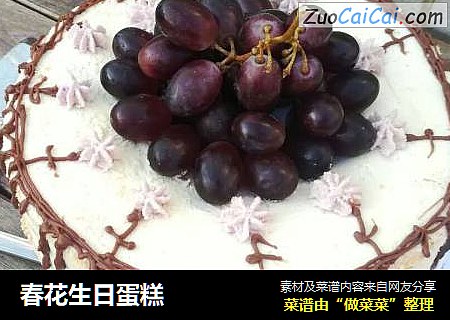春花生日蛋糕