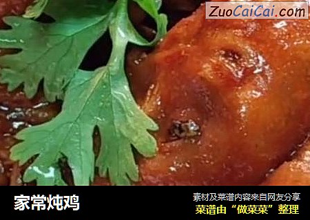 家常炖鸡