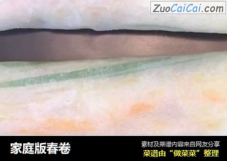 家庭版春卷