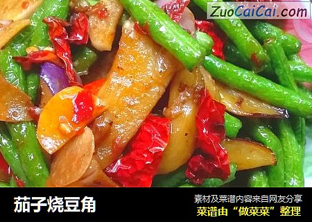 茄子烧豆角
