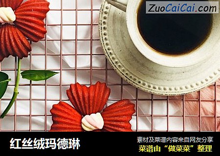 红丝绒玛德琳