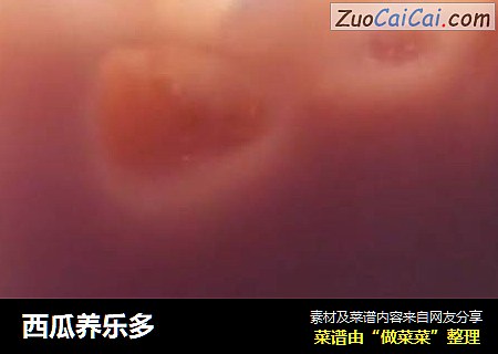 西瓜养乐多