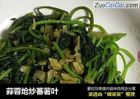 蒜蓉炝炒蕃薯叶
