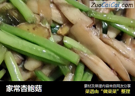 家常杏鲍菇