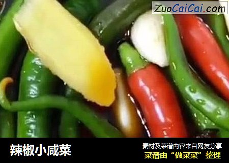 辣椒小咸菜