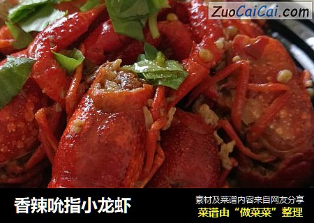 香辣吮指小龙虾