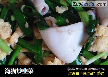 海猫炒韭菜