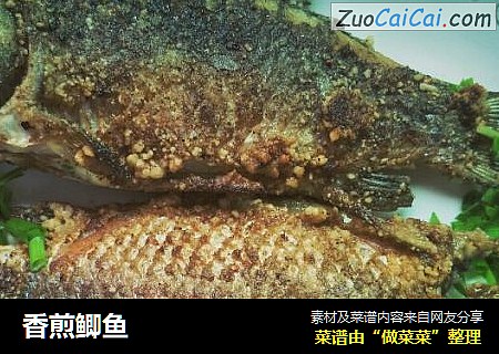 香煎鲫鱼