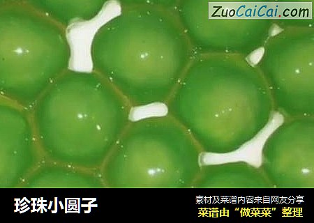 珍珠小圆子