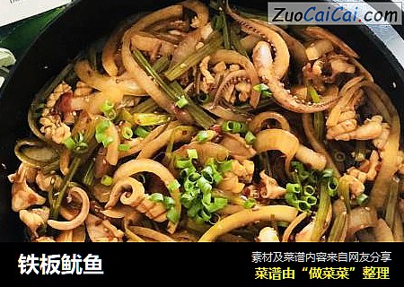 铁板鱿鱼