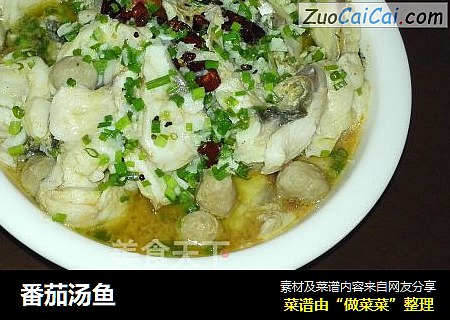 番茄汤鱼