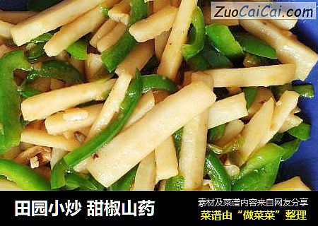 田园小炒 甜椒山药