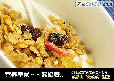 营养早餐～酸奶麦片果仁